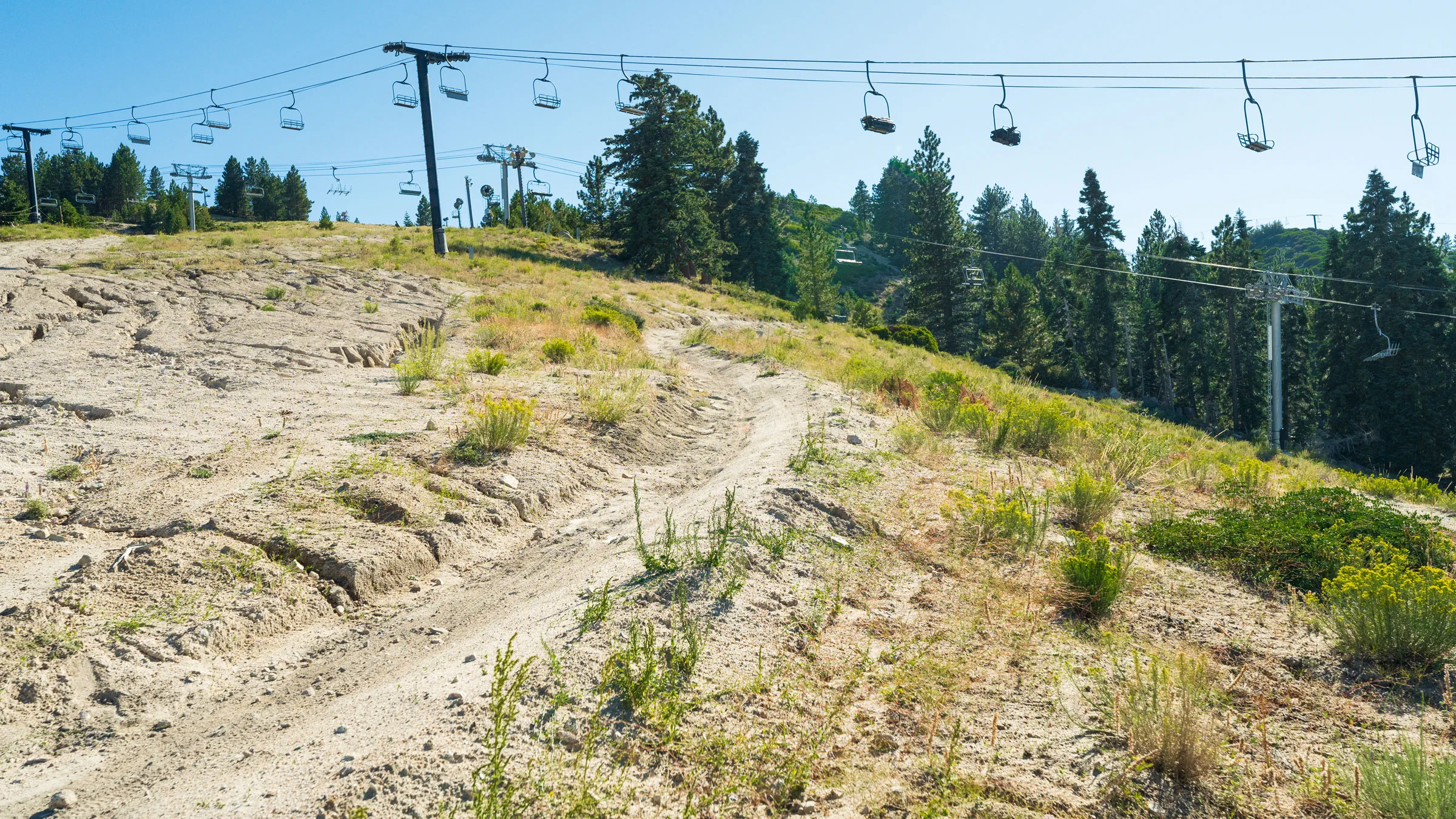 Trail view of Sundance MTB trail at Snow Valley in the summer